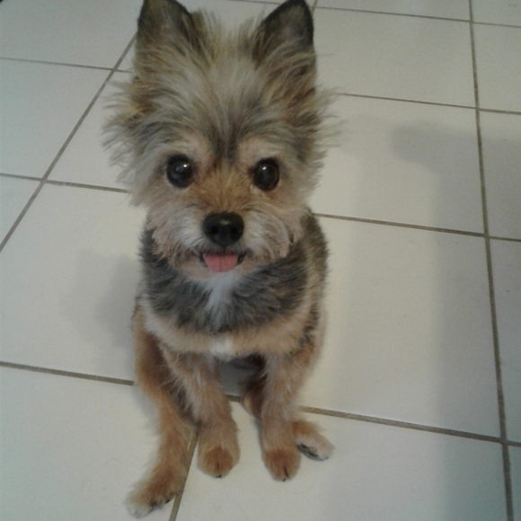 VINTAGE,VINTAGE, AND MORE VINTAGE - Picture 2 of 6